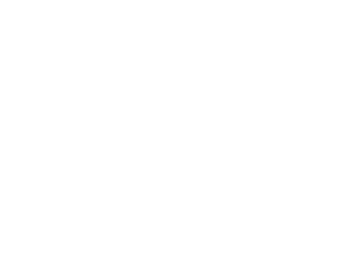 ricofse11