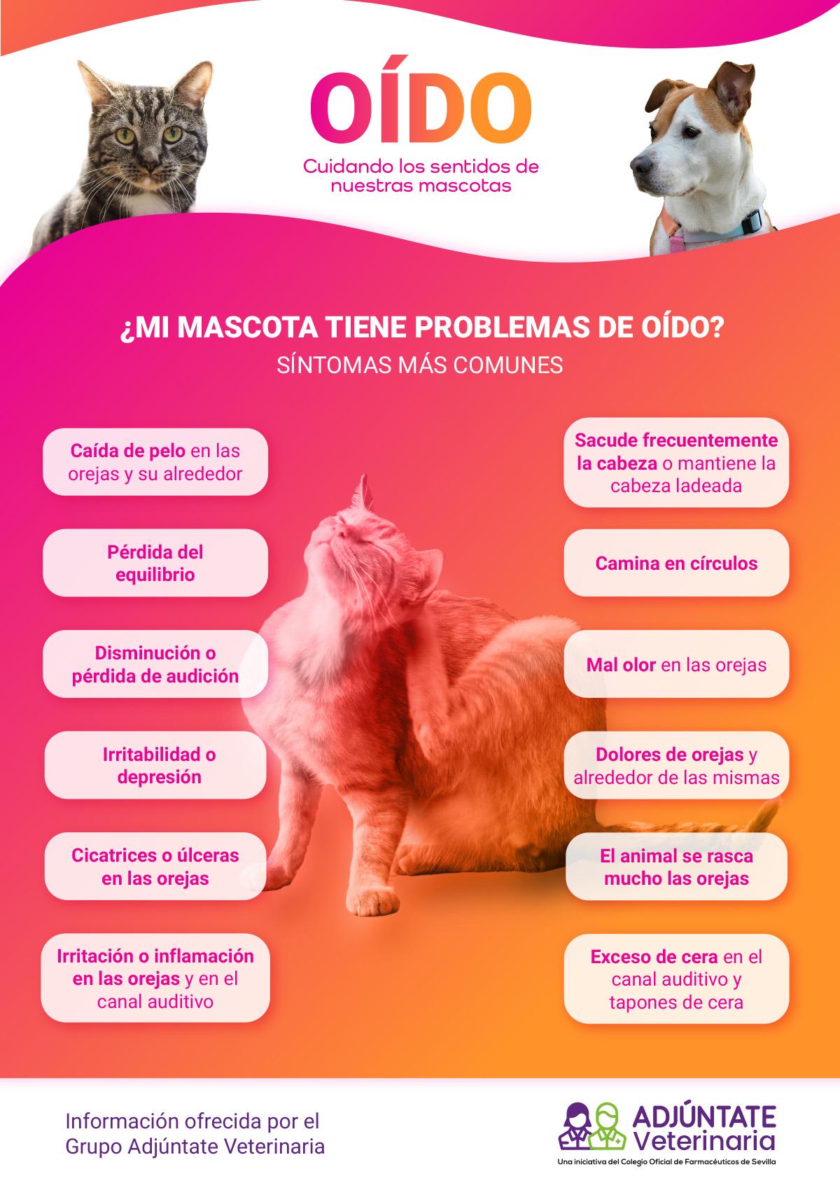 Consejos para el cuidado del oído de las mascotas - Colegio Oficial de  Farmacéuticos de Sevilla