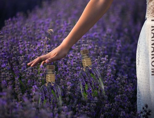 Claves para un mejor abordaje del estrés, la ansiedad y el insomnio desde la farmacia