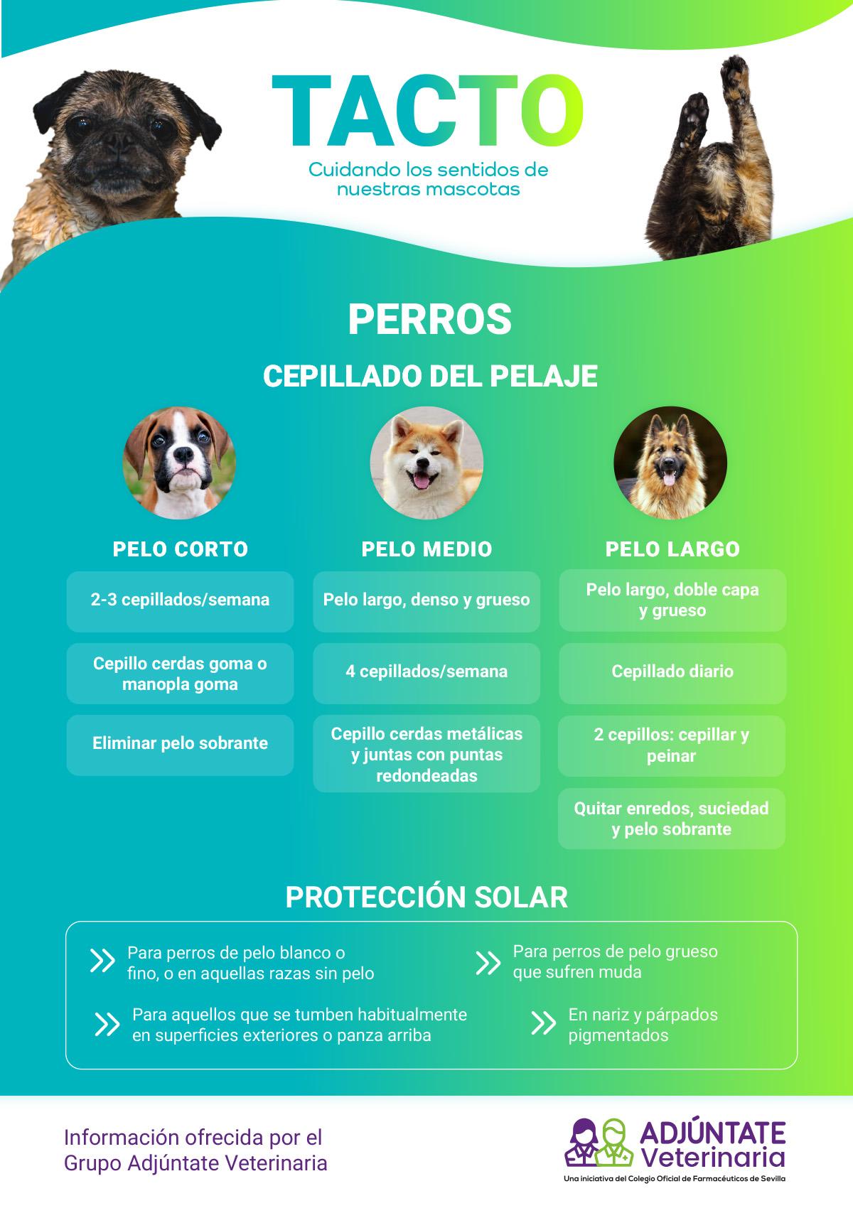 Consejos para mascotas