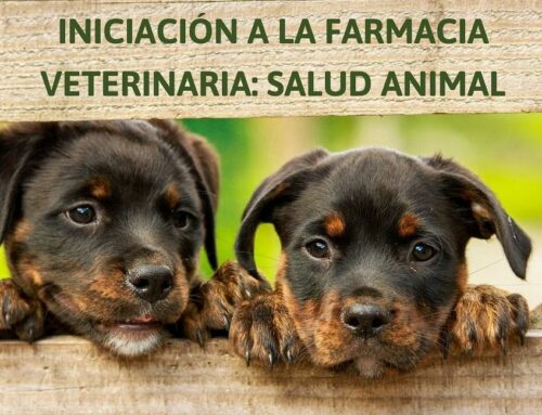 Una cita clave para mejorar el consejo farmacéutico dirigido a mascotas