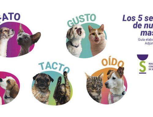 El Colegio edita la primera guía española para ofrecer recomendaciones sobre el cuidado de las mascotas desde las oficinas de farmacia