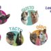 El Colegio edita la primera guía española para ofrecer recomendaciones sobre el cuidado de las mascotas desde las oficinas de farmacia