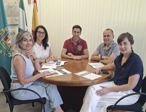 La Diputación de Sevilla y el Colegio de Farmacéuticos estudian vías de colaboración para combatir la soledad no deseada en los mayores
